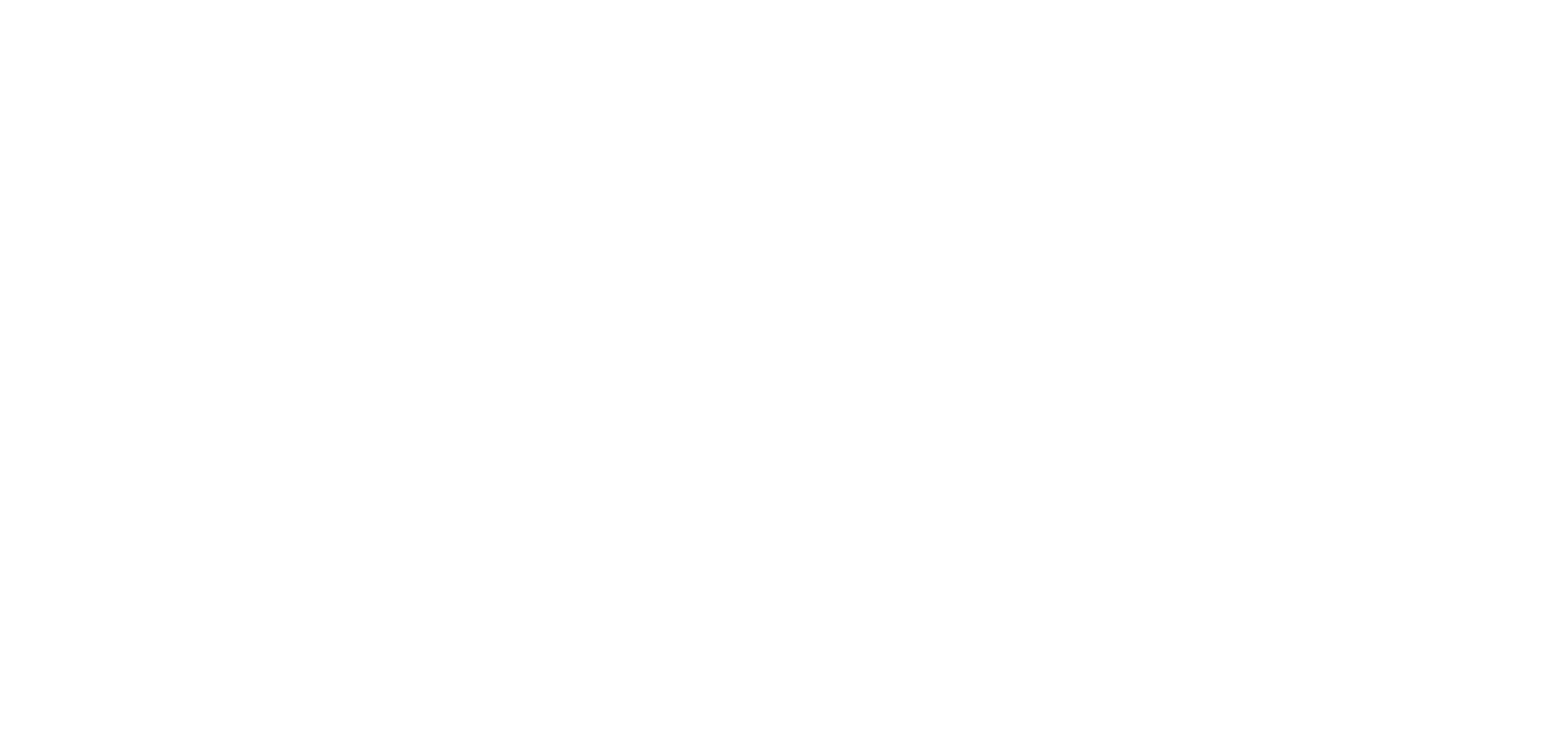 Logo Nfsm Blanc